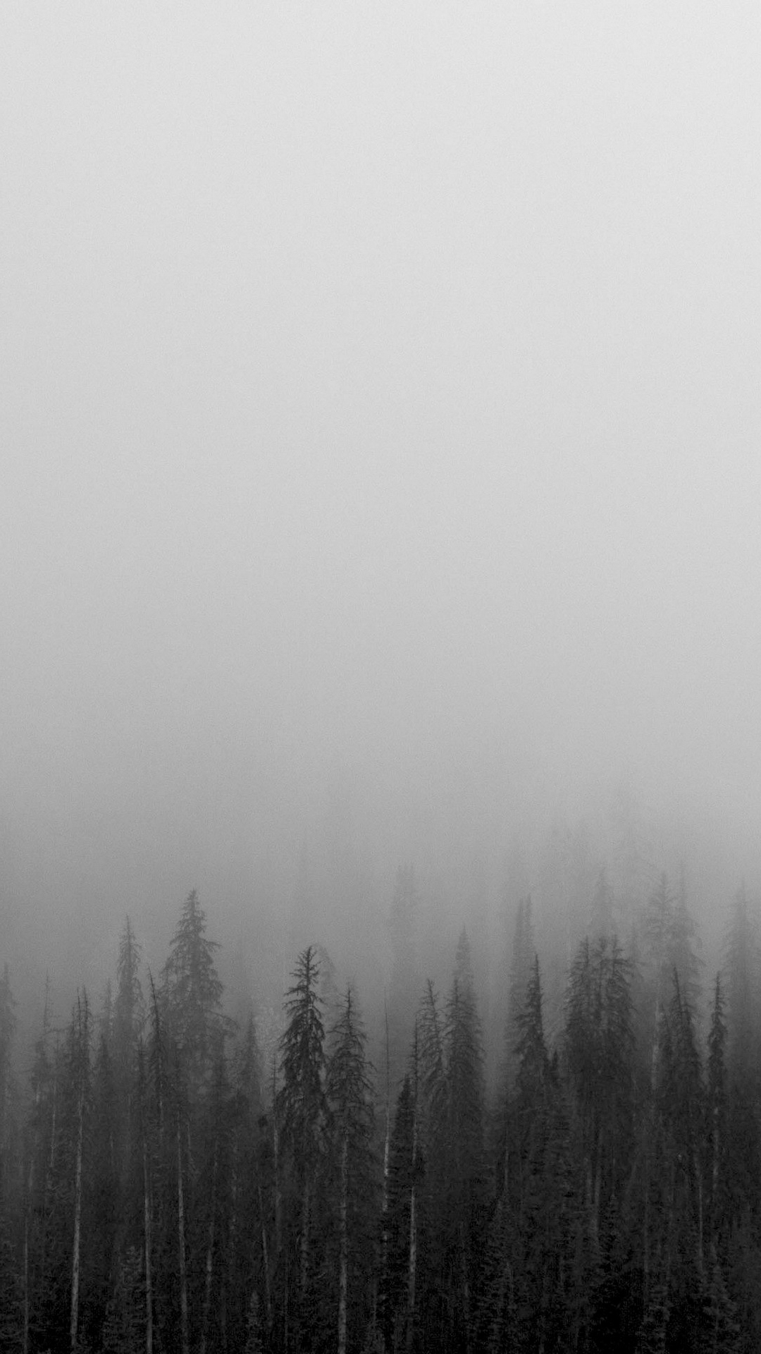 精选手机壁纸,纯粹的幸福意境黑白灰手机壁纸