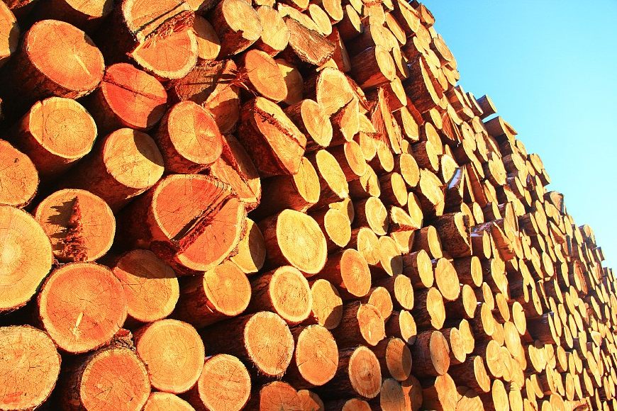 足球是一个球体还是一个圆,足球真的是圆的