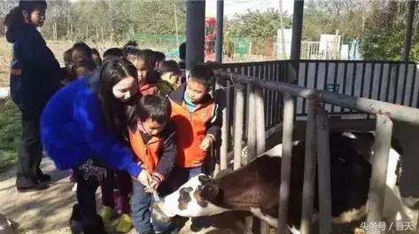 淮阴区卫岗,亳州卫岗镇