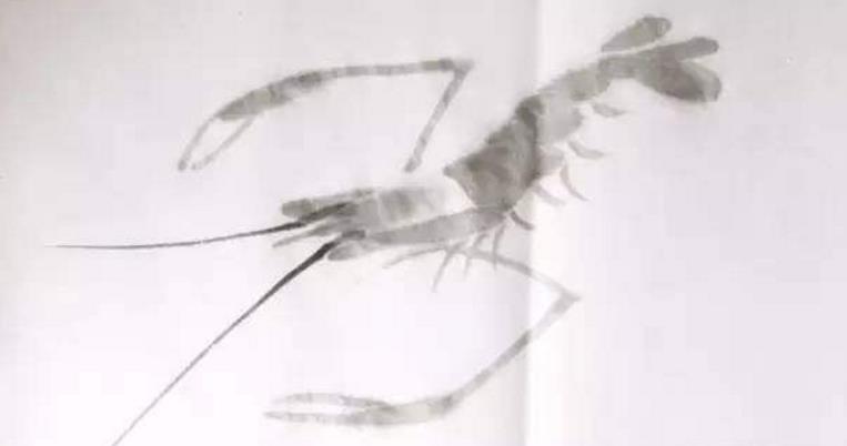 水墨大虾怎么画,水墨彩色大虾画