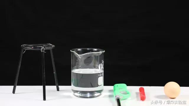 黑蛋为什么那么厉害,黑蛋到底有多聪明