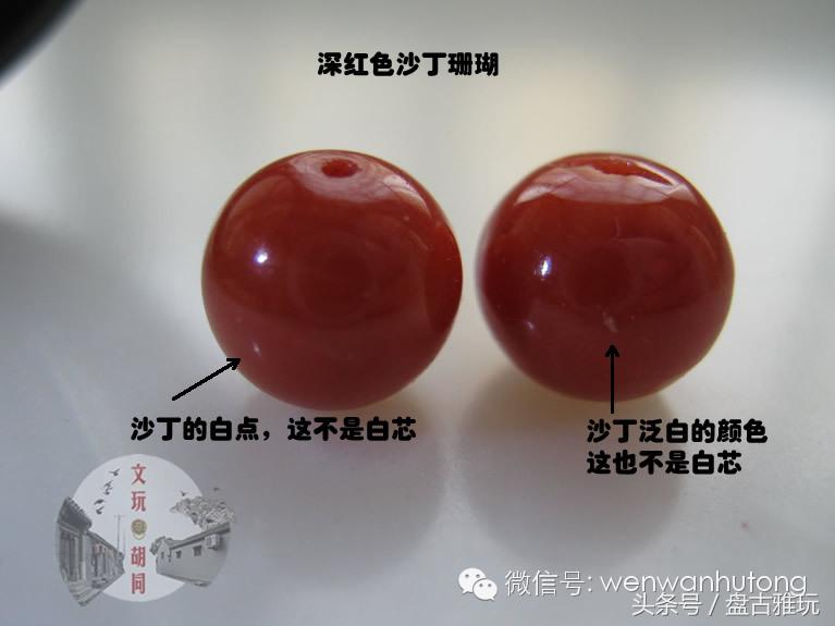 红珊瑚介绍方法,红珊瑚识别方法