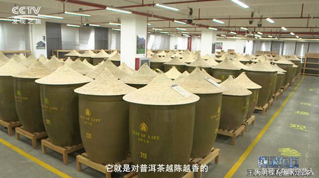 三万棵曼松古茶树,王子山曼松古茶树