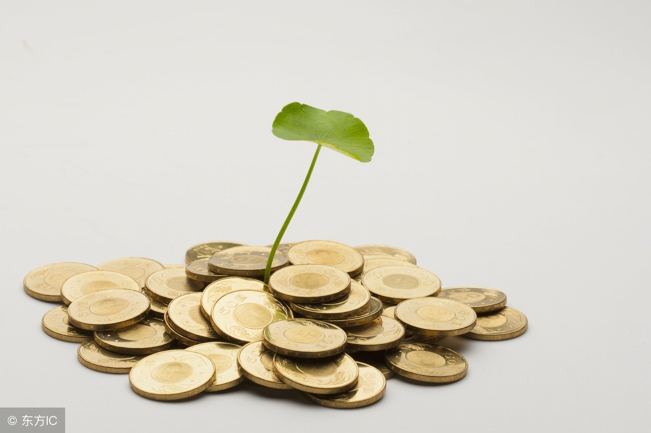 都有哪些投资理财产品,小白怎么才能看懂投资理财产品