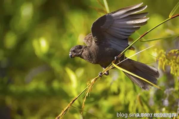 塞舌尔旅游者,人间天堂塞舌尔