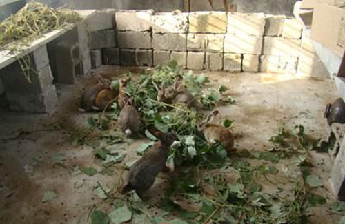 农村做什么生意赚钱创业项目,农村镇上加盟什么创业项目好