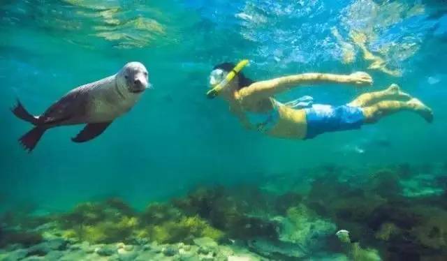 澳洲签证体检后多久签证可以获批,澳洲820签证转801签证需要多久