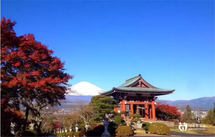 你的青蛙去过哪,旅行青蛙中国之旅图片有樱花的