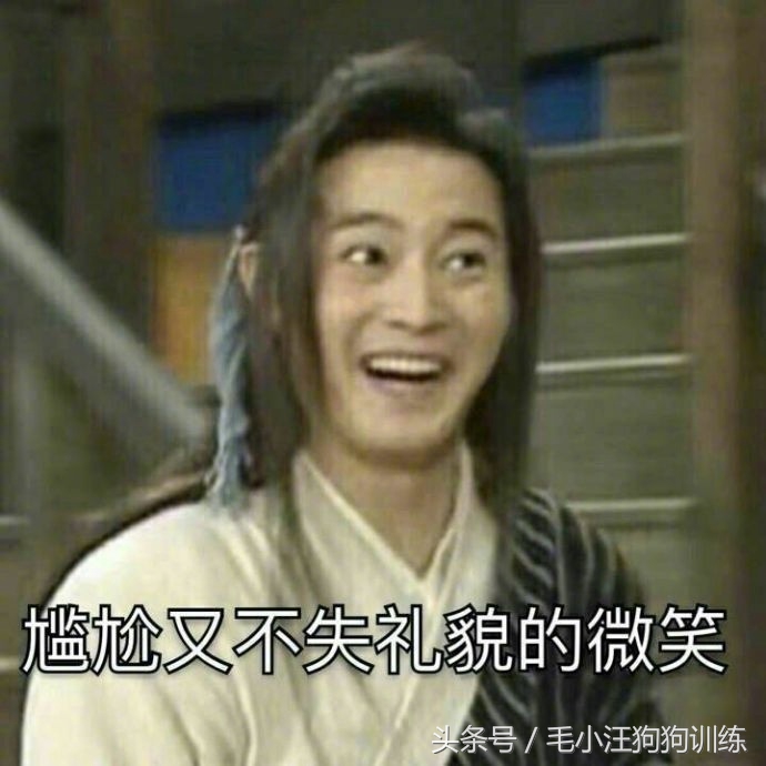 狗狗贪吃怎么训练,金毛狗狗挑食怎么办