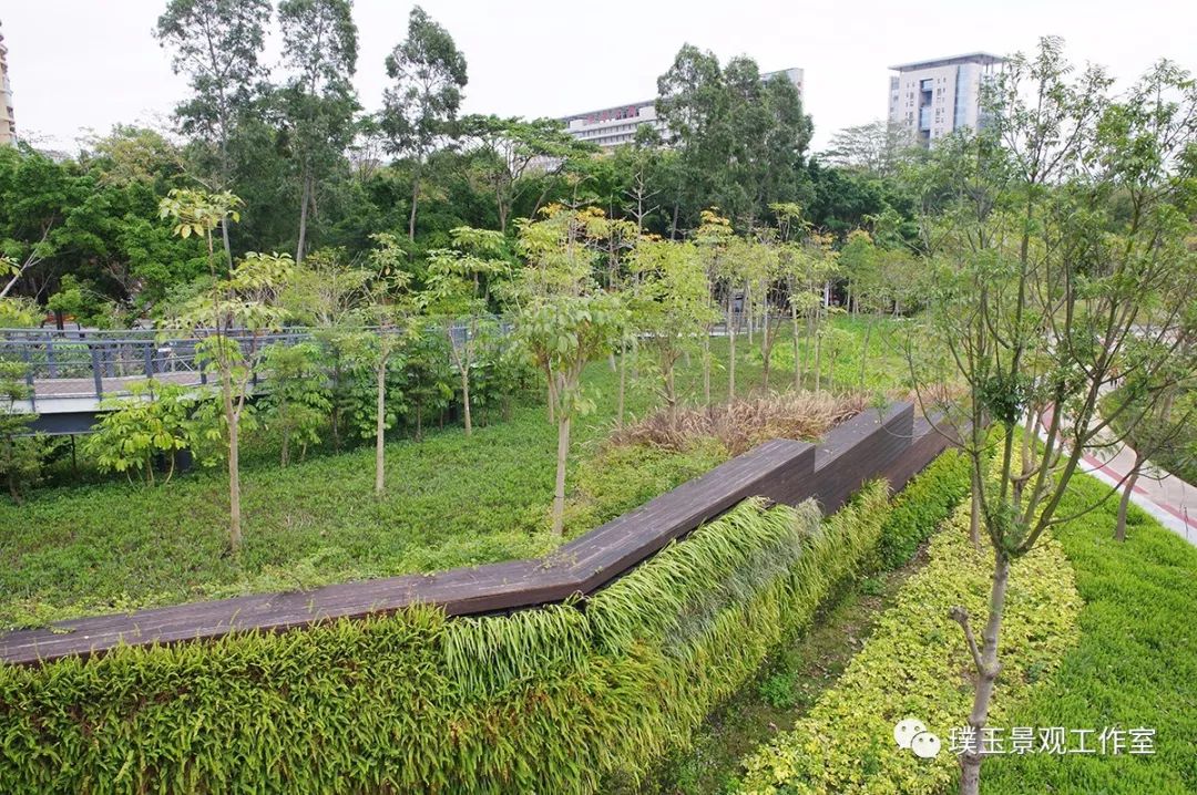 2019年香蜜湖公园,最新香蜜公园视频