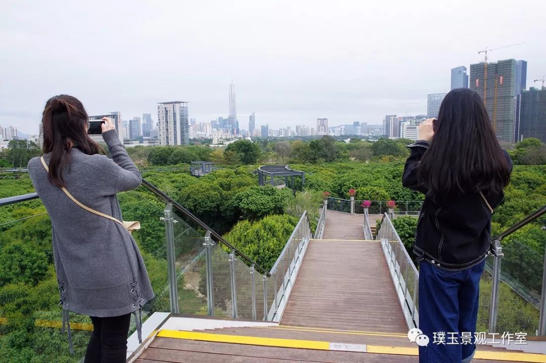 深圳香蜜公园航拍视频,香蜜湖香蜜公园