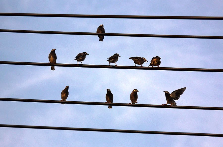 有五线谱就能弹吉他吗,弹吉他不会看五线谱