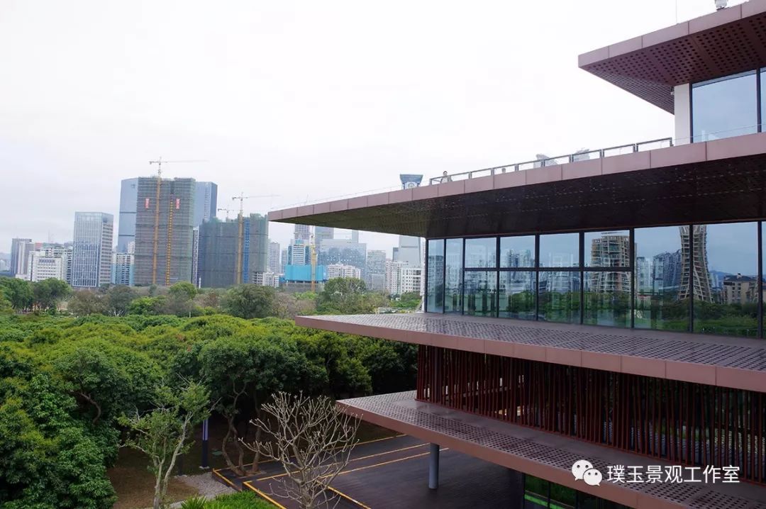 深圳香蜜公园航拍视频,香蜜湖香蜜公园