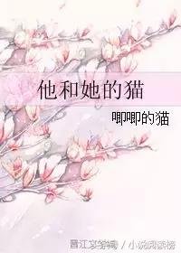 甜甜的姐弟小说,经典姐弟恋文