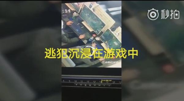 貂皮大衣2980,貂皮大衣5050