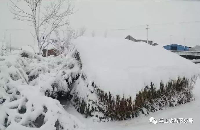 美丽麟游完整视频,雪景美如素描画