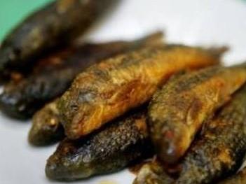 广西巴马长寿乡之旅,广西巴马长寿之乡位置