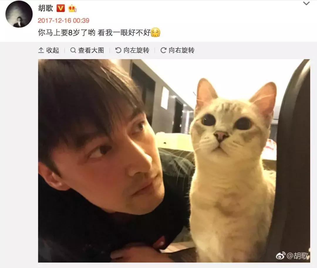 教你一招简单拍出漂亮的自拍照,如何拍出好看的自拍照