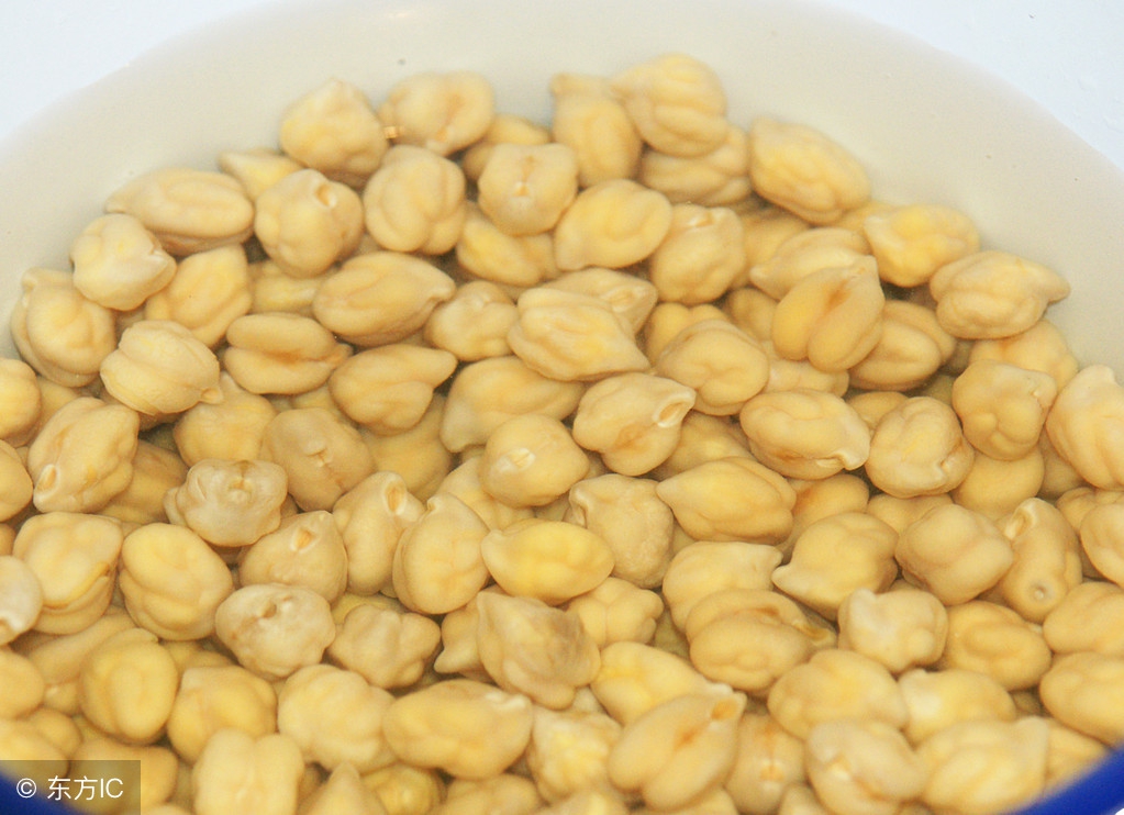 春耕育苗技术视频教程,种植技术催芽