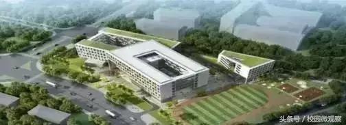 重视理论教育忽视实践教育,重视教育和不重视教育的家庭区别