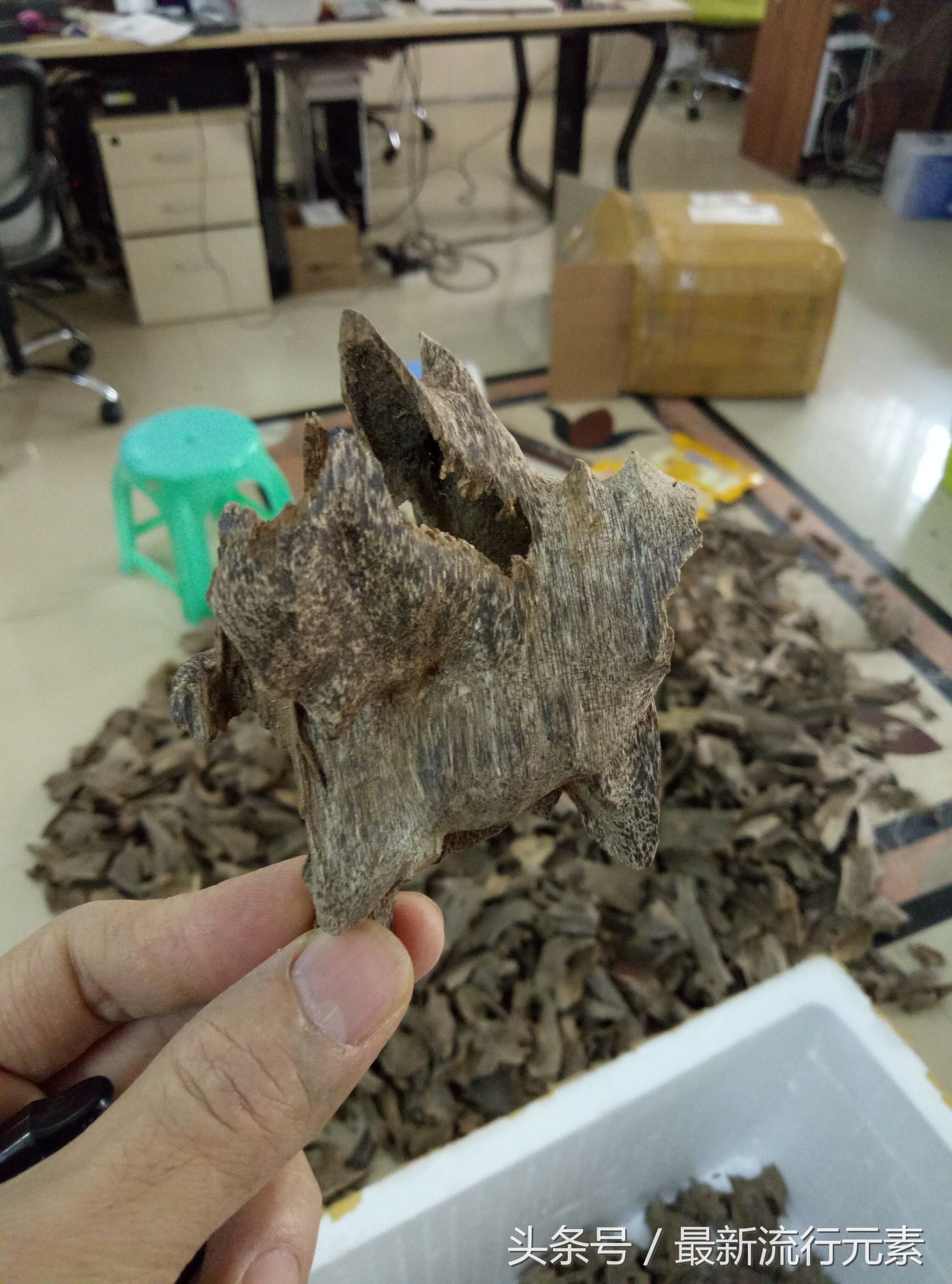 檀香和沉香有什么功效,檀香跟沉香