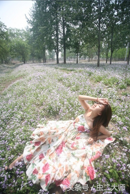 蝴蝶不会飞dj,蝴蝶不会飞了还能活吗