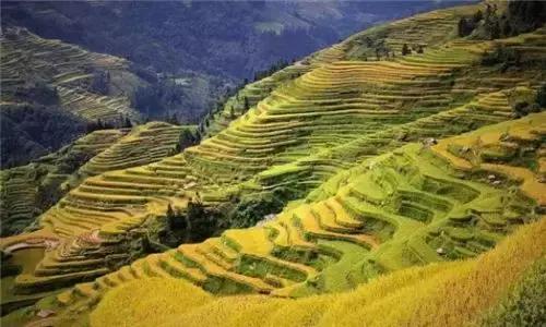 沈阳到贵州黄果树攻略,深航沈阳到广州