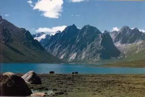 自驾游怎么穿越雪谷,自驾穿越雪地雾凇视频