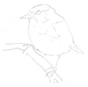 素描入门零基础教程动漫人物,素描入门零基础教程排线握笔