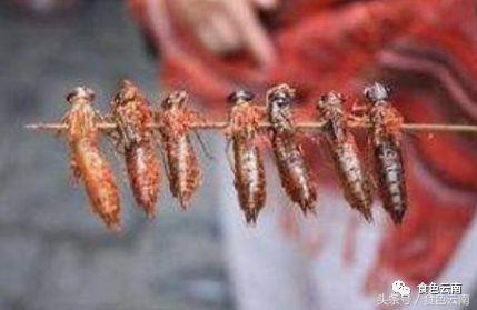 云南三只蚂蚁一道菜,云南三个蚊子一盘菜