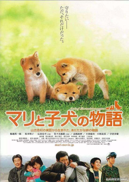 关于狗的电影你喜欢哪一部呢,十部关于狗的电影