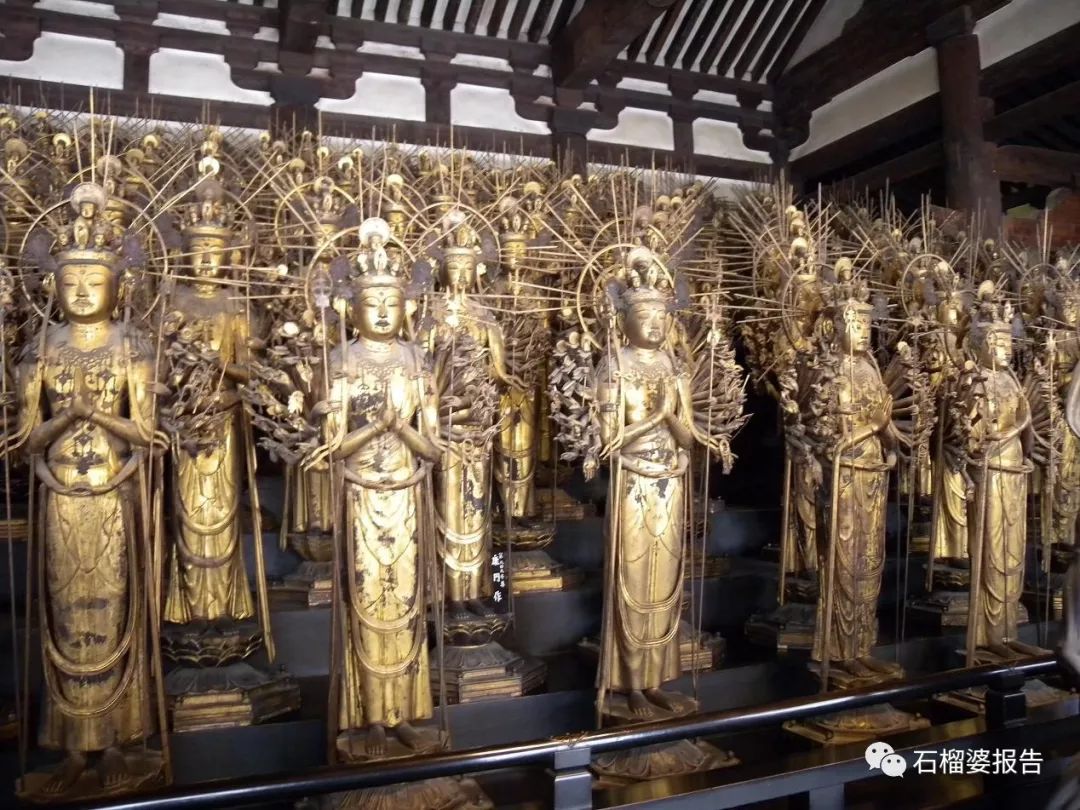 四世同堂一日游,四代同堂去旅游