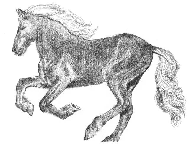 国画素描教程零基础入门,零基础学素描初学者入门教学