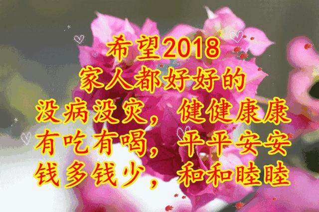 11月4，有群的都看看，太美了，这一辈子见一次值了！