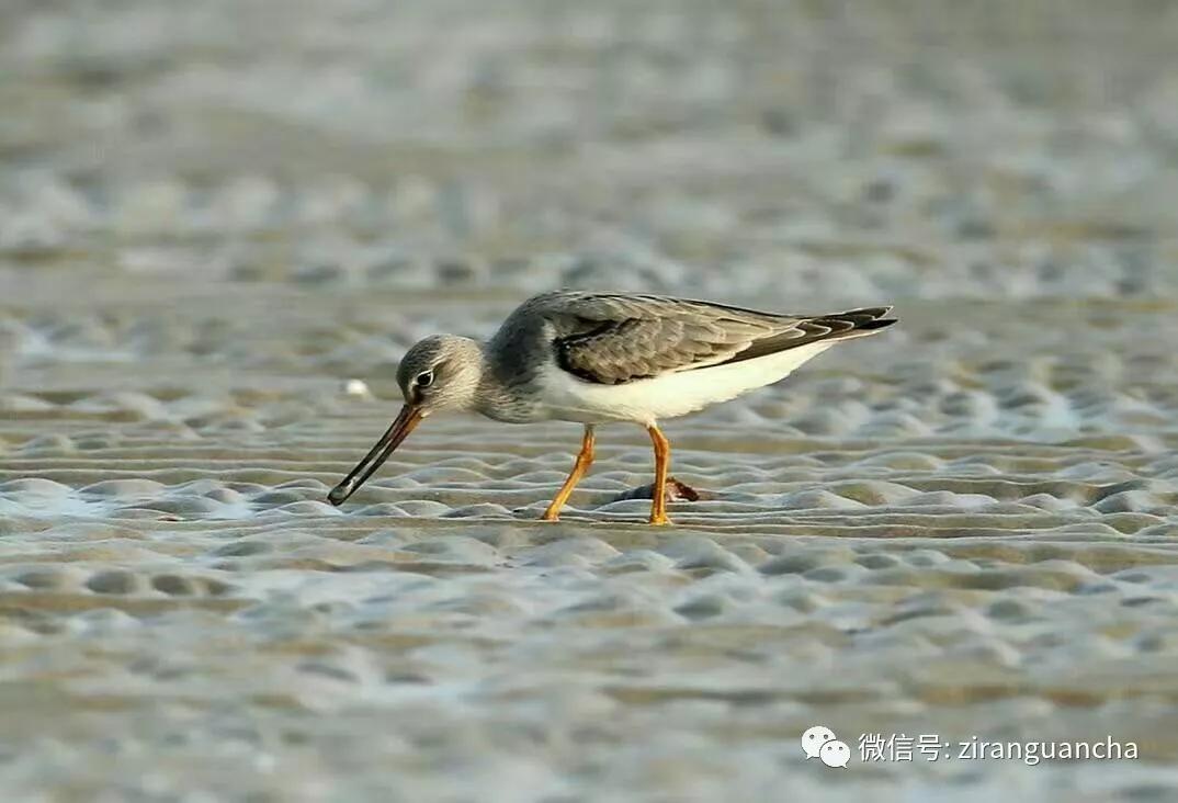 防城港山心沙岛和山新沙滩,防城港三口浪山心沙岛