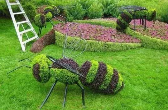 11月4,有群的都看看,太美了,这一辈子见一次值了!