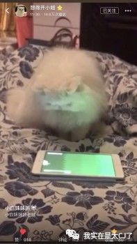 范冰冰转型美妆博主有感,范冰冰成为美妆博主