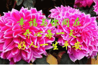 刚出的群主相册,有群的都看看,太美了,这一辈子见一次值了!