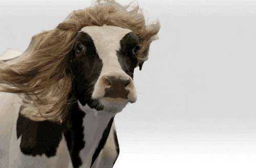 了不起的麦瑟尔夫人哪里能看,了不起的麦瑟尔夫人复古风