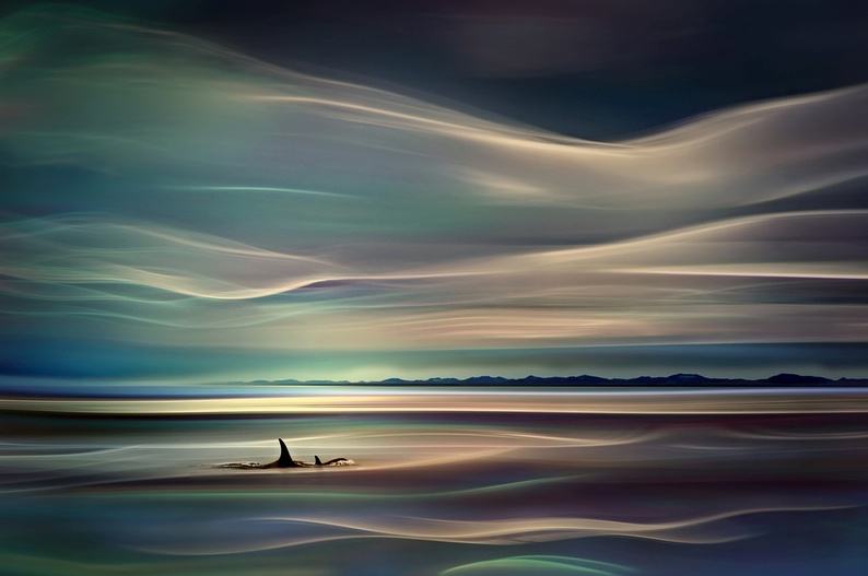 梦境和现实的区别是什么,梦境和真实世界