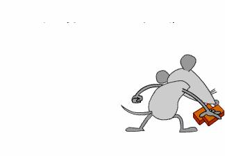 同仁医院能治好鼻炎吗,同仁医院治疗鼻炎开的药