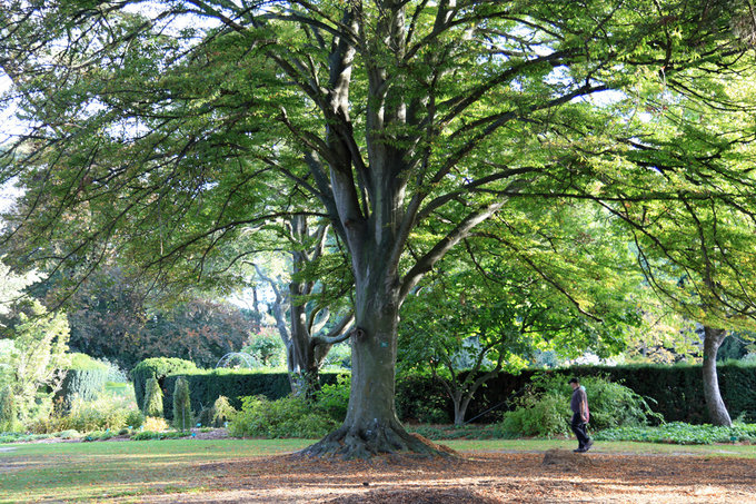 yolanda新西兰,yolanda的旅行