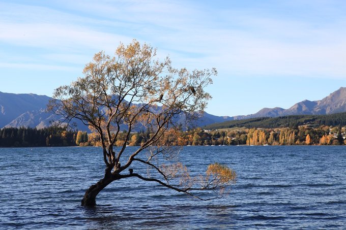 yolanda新西兰,yolanda的旅行