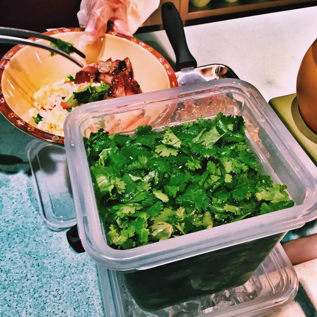 Low逼狗带|仙女仙眼里的上海迪士尼~