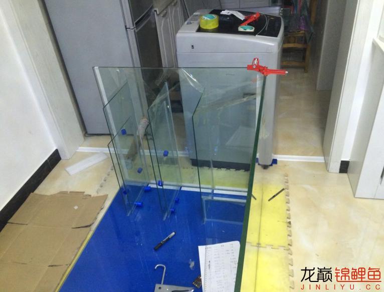 粘锦鲤地缸教程,鱼友锦鲤地缸