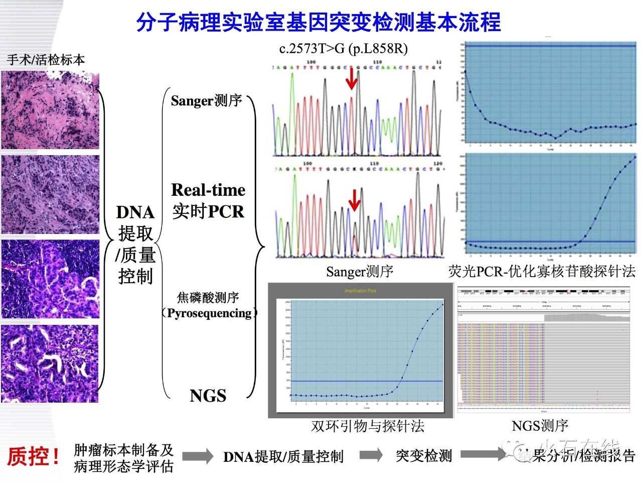 ctdna在癌症诊断中的应用,肿瘤靶向基因检测临床推广ppt