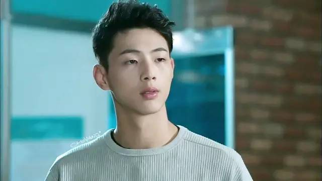 5月播出的韩剧,5月最新韩剧