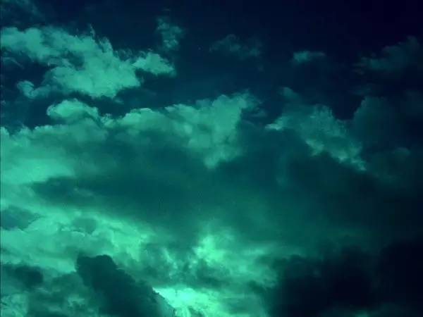 十三年前的金棕榈，房间里的大象