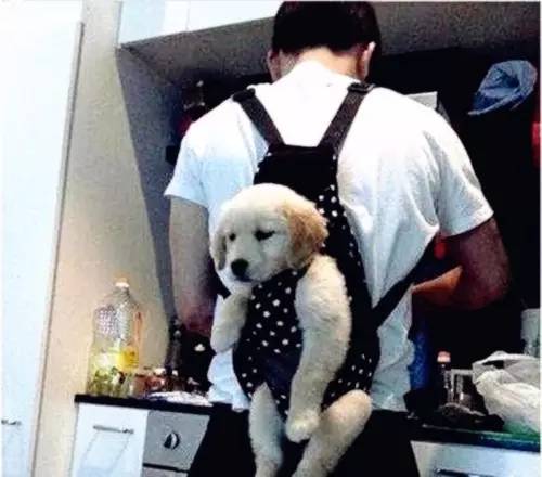 来一趟重庆带什么好,如果有朋友来重庆你会带他去哪