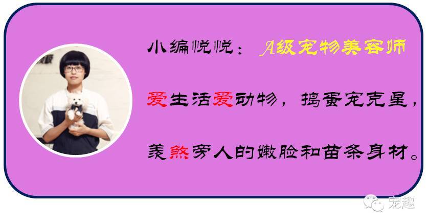 给宠物美容有什么讲究,猫狗去泪痕吃什么好